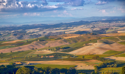 Tuscany fields and olive groves at sunrise