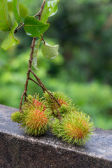 Fresh rambutan on natural background
