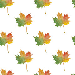 Naklejka na ściany i meble Pattern Autumn maple leaves Illustrations Watercolor Botanical Digital paper Textile Autumn fall decor Wallpaper Scrapbooking