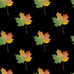 Pattern Autumn maple leaves Illustrations Watercolor Botanical Digital paper Textile Autumn fall decor Wallpaper Scrapbooking