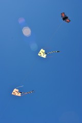 giochi con gli aquiloni 