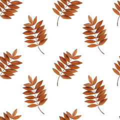  Pattern Autumn leaves mountain ash Illustration Watercolor Botanical Digital paper Textile Autumn decor wallpaper Scrapbooking