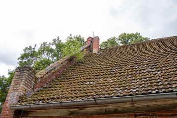 moss on the roof from a house