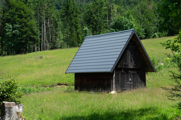 Fototapeta na wymiar old wooden house