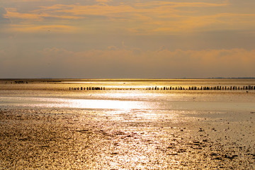 sunset northsea ebb low tide
