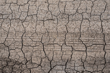 Dry, cracked soil