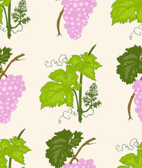 Vine and grape seamless pattern