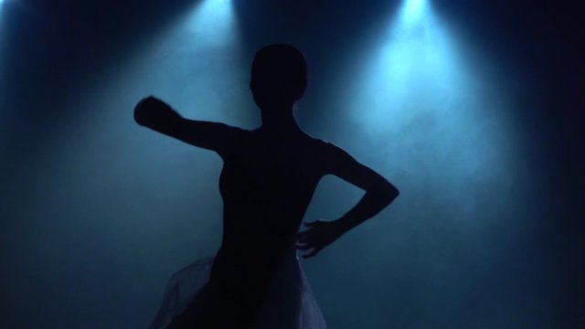 Skilled ballerina dancing classical ballet elements. Close up slow motion.