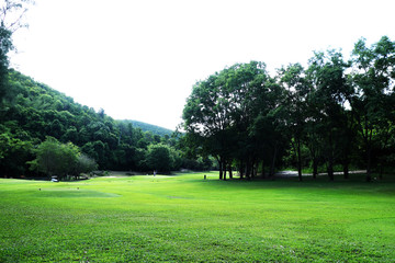golf course or green grass field in urban public park