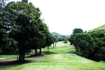 golf course or green grass field in urban public park