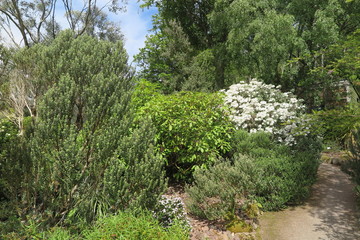 Fototapeta premium Inverewe Garden in Poolewe, Schottland