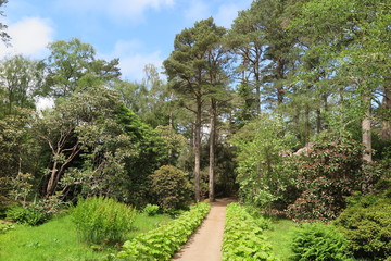 Fototapeta na wymiar Inverewe Garden in Poolewe, Schottland
