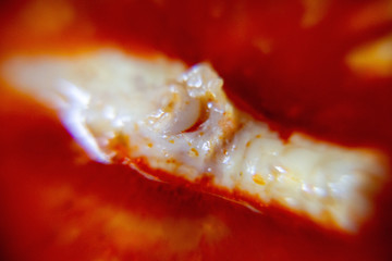 Macro, Red Spicy chicken paw sauce. The local food of northern's Thailand, call "Khanom Jeen Nam Ngeaw".