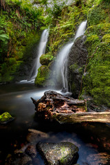 Fototapeta premium Dartmoor, Devon, England