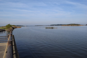 Obraz premium 牛久沼（うしくぬま）／ 牛久沼は小規模な漁業のほか、その水は主に農業用水として活用されています。また、週末などは多くの釣り人たちで賑わっています。沼に近い牛久市と同じ名前ですが、全域が龍ケ崎市の区域内です。