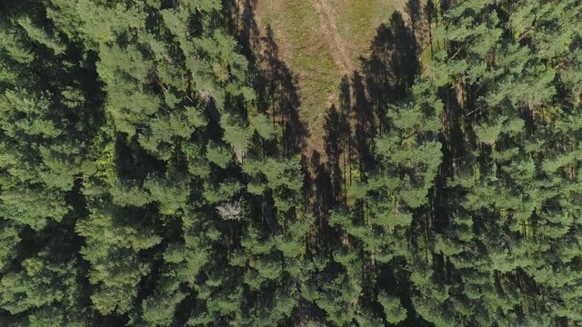 Aerial top down view of deforestation area