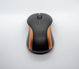 Mouse Up Close