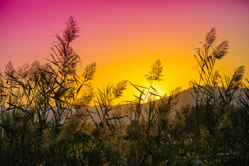 Obraz premium Mountain landscape in the evening. Beautiful lakeshore against mountains. The Hula Valley in northern Israel at sunset