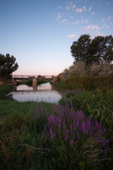 Fototapeta premium Bridges passing through the Jalon river in Torres de Berrellen Zaragoza Spain