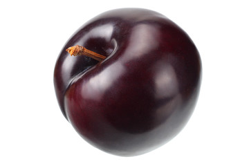 one plum fruit isolated on white background.