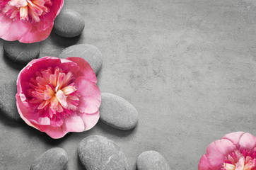 Flat lay composition with spa stones, pion pink flower on grey background.