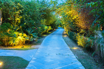 Garden path in resort with warm light and trees on side at evening, Garden Decoration.