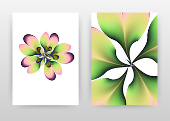 green purple pink flower petal concept design of annual report, brochure, flyer, poster. green flower concept background vector illustration for flyer, leaflet, poster. abstract A4 brochure template.