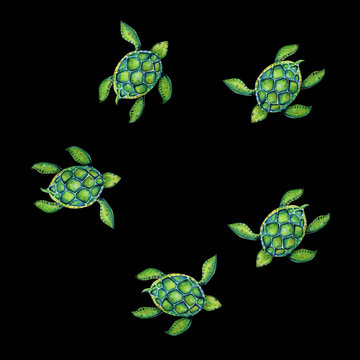 Beautiful turtle art water color background illustration