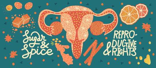 Sugar and spice and reproductive rights. Horizontal banner