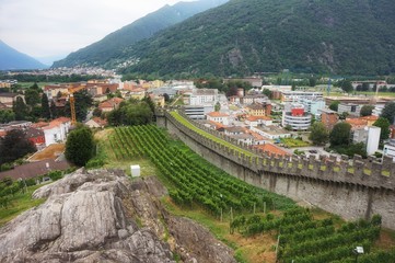 Fototapeta na wymiar View of the vineyards of the town of Bellinzona from the castle wall of Castelgrande