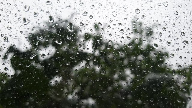 Rain outside the window. Raindrops on the window.
