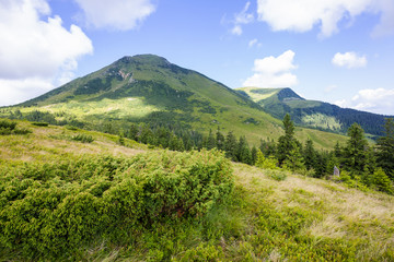 Fototapeta na wymiar Mount Petros in the Carpathians