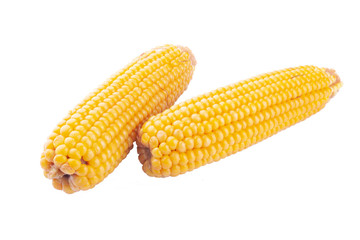 ears of boiled corn on a white background isolate