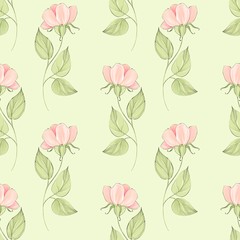 Seamless botanical background of pink roses. Pattern green leaves