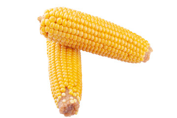 yellow boiled ears of corn on a white background isolate. logo, icon