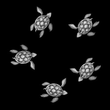 Beautiful turtle art water color background illustration