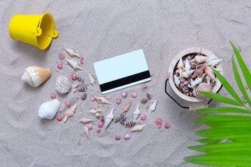 Credit card and Sea shell with plam leave on sand beach.Travel cost concept.