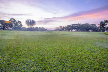 Lawn with dew in the morning