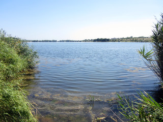 landscape with lake and trees