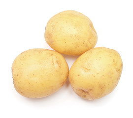 Young potato isolated on white background. Harvest new. Flat lay, top view