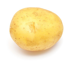 Young potato isolated on white background. Harvest new. Flat lay, top view