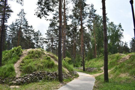 Parque natural. Rusia