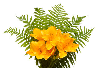 Bouquet flowers yellow day lily beautiful delicate with fern isolated on white background. Creative spring concept. Star shape. Floral pattern, object. Flat lay, top view