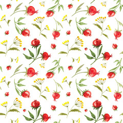 Pattern with forest and meadow herbs and fruits of red berries of a dogrose