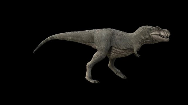 dinosaur T-Rex loop walking with alpha channel