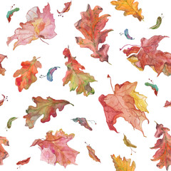 Watercolor hand drawn seamless tile with autumn oak and maple leaves and seeds on white background. Raster pattern red, yellow, brown colors	Design for textile, packaging, season decor and background.
