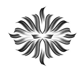 Calligraphic patterns and waves. Black lines on a white background. Illustration for background, decorations and frames.