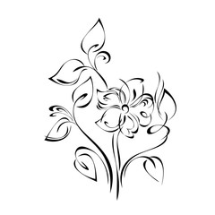 stylized stems with leaves, curls and with one decorative flower in black lines on a white background