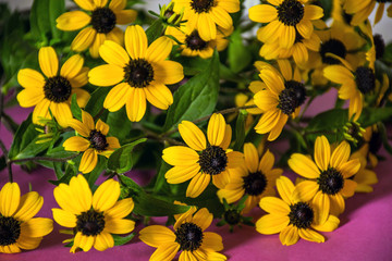 bouquet of yellow flowers on a pink tablecloth