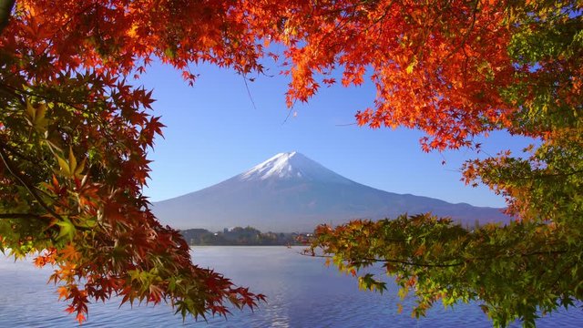 Mountain fuji with red maple in Autumn, Kawaguchiko Lake, Japan